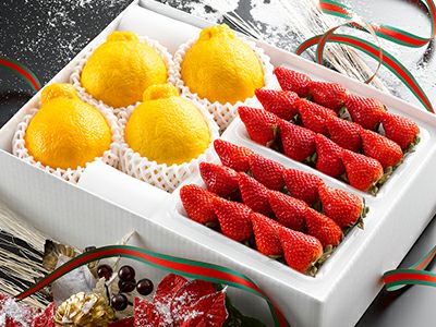フルーツアイス トロピカル 8個入り【商品引換券】【即納商品